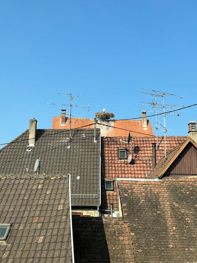 Au nid de cigognes à Ribeauville avec garage et terrasse Esterno foto